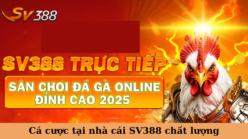 Cá cược tại nhà cái SV388 chất lượng