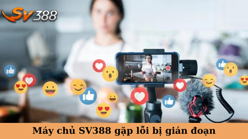 Máy chủ SV388 gặp lỗi bị gián đoạn