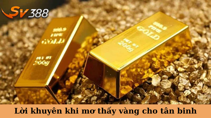Lời khuyên khi mơ thấy vàng cho tân binh