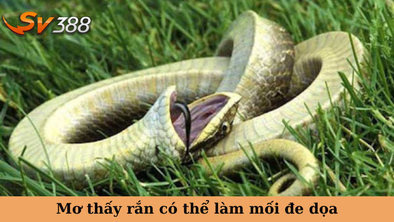 Mơ thấy rắn có thể làm mối đe dọa