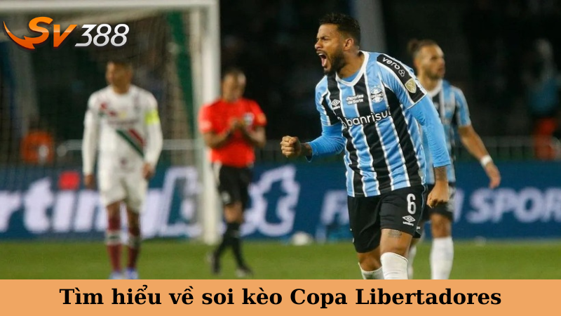 Tìm hiểu về soi kèo Copa Libertadores