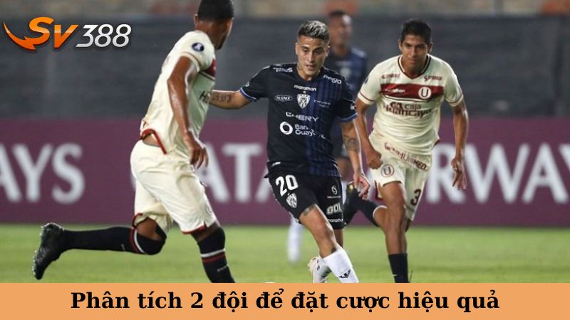 Phân tích 2 đội để đặt cược hiệu quả