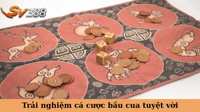 Trải nghiệm cá cược bầu cua tuyệt vời