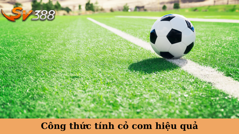 Công thức tính cỏ com hiệu quả
