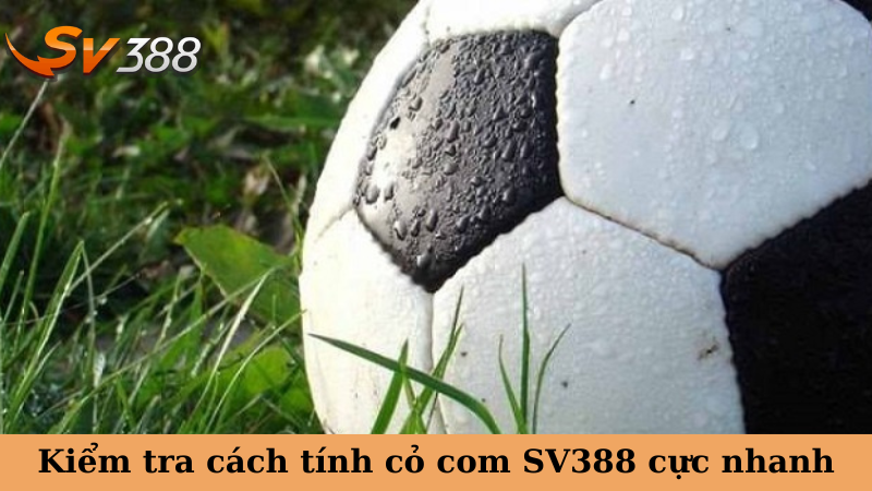 Kiểm tra cách tính cỏ com SV388 cực nhanh