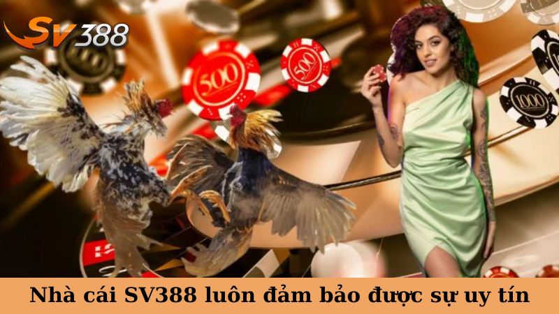 Nhà cái SV388 luôn đảm bảo được sự uy tín