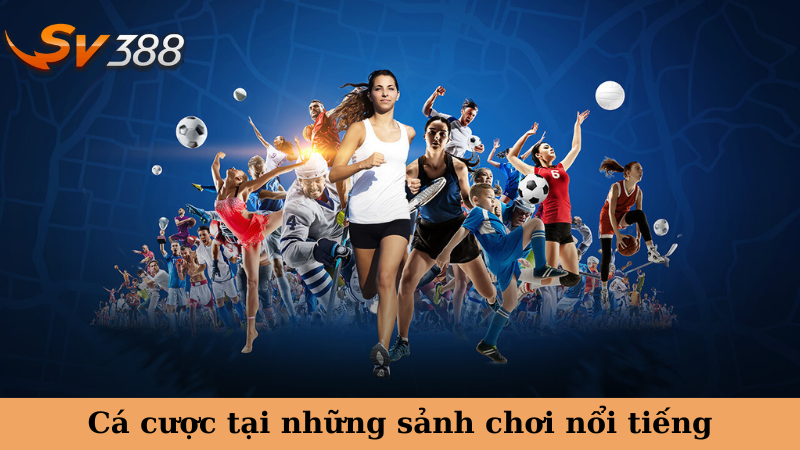 Cá cược tại những sảnh chơi nổi tiếng