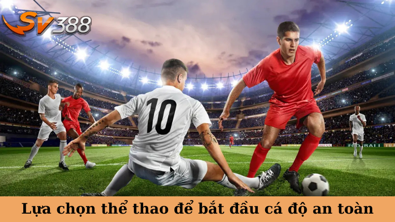 Lựa chọn thể thao để bắt đầu cá độ an toàn