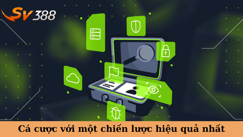 Cá cược với một chiến lược hiệu quả nhất