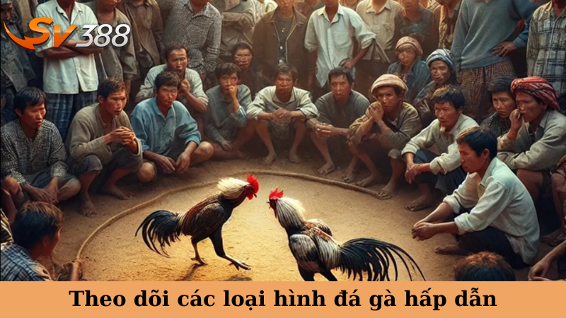 Theo dõi các loại hình đá gà hấp dẫn